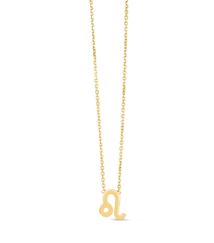 14k Yellow Gold Leo Necklace