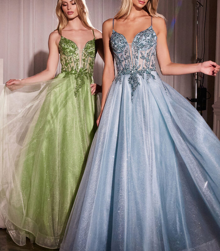 Floral Applique Sleeveless Tulle Gown