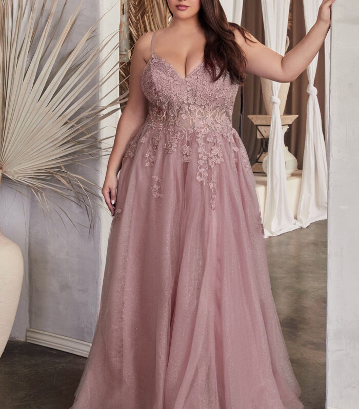Embroidered Tulle Corset Gown